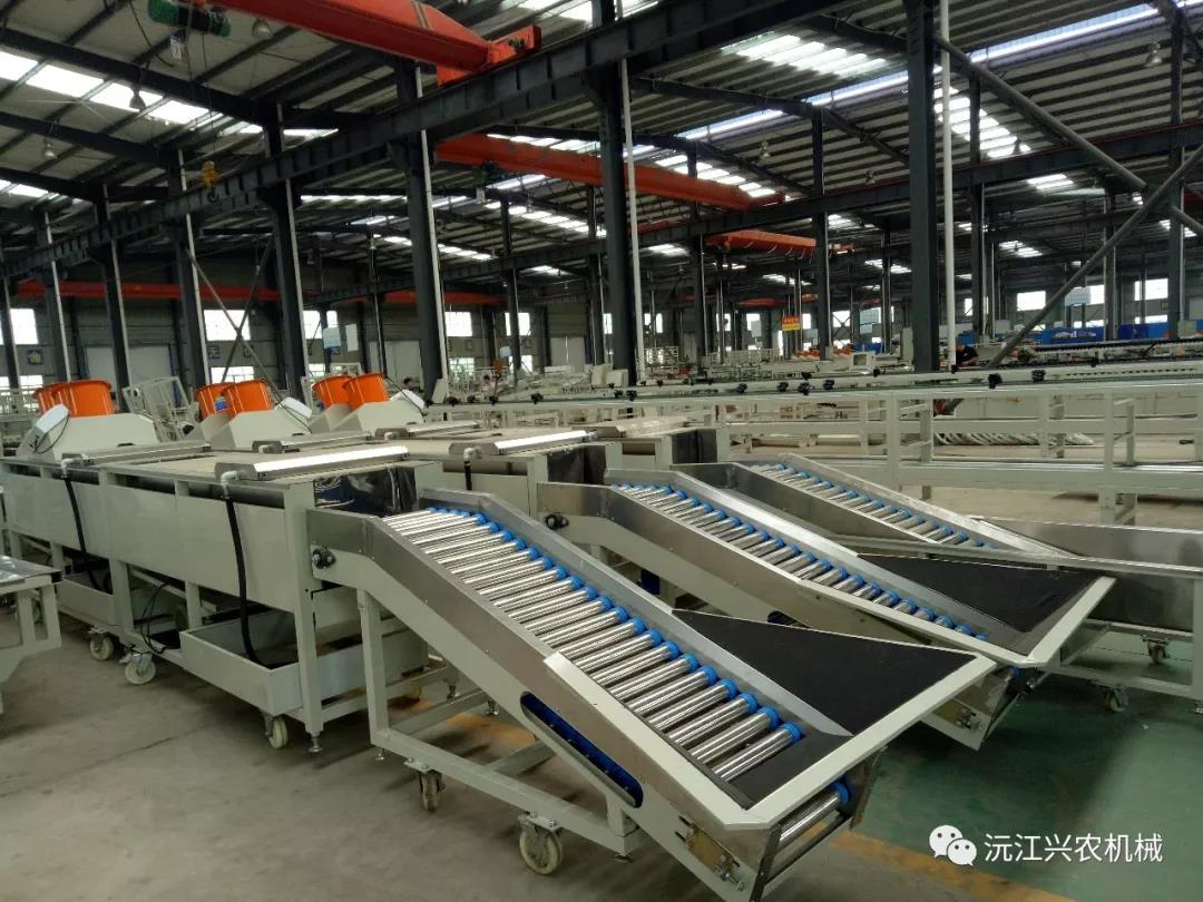 沅江興農機械制造有限公司,沅江水果分選機,沅江水果清洗機,沅江水果打蠟機哪里好,沅江興農機 沅江興農機械制造有限公司,沅江水果分選機,沅江水果清洗機,沅江水果打蠟機哪里好,沅江興農機